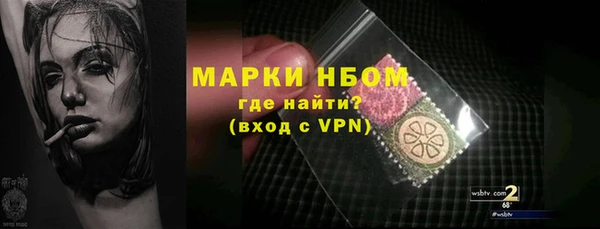 PSILOCYBIN Аркадак