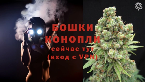 PSILOCYBIN Аркадак