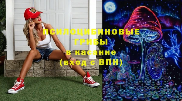 прущие грибы Арсеньев