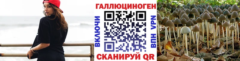Псилоцибиновые грибы мухоморы  Купить закладки  Хадыженск 